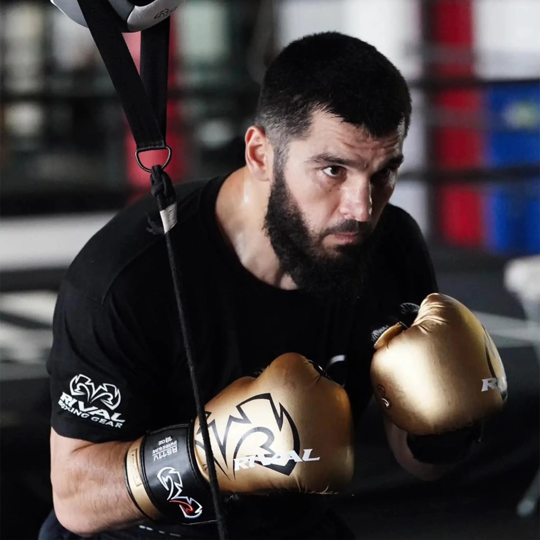 Rival RS11V Evolution Sparring Gloves - Image 17